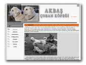 akbascoban.com