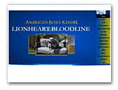 Lionheart Bloodline - American Bully Kennel