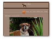 Atrotos Kennel Boxer