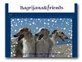 Bagrijana&friends - Borzoi and Dog Handling Service by Marina Cornaglia