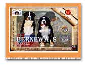 BernEwa's Kennel