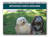 Bichones Habaneros Da Costa Anacara