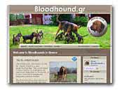 bloodhound.gr