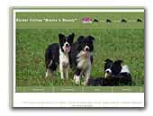 Brains'n Beauty - Border Collies