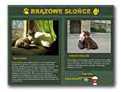 Brązowe Słońce - Nowofundland