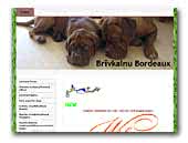 Brivkalnu Bordeaux