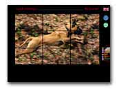Kennel Land of Freedom Bullmastiff