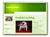 Cassy dog kennel - Anglický bulldog