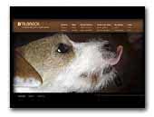 D'Albreck Kennel - JRT