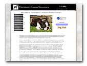 Daltdach Boston Terrier's