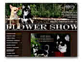 'Flower Show' chihuahua kennel