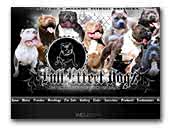 fulleffectdogz.com