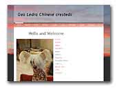 Gea Ledra Chinese cresteds