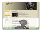 Black Silk Gordon Setter
 kennel