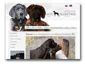 Punto Valentino Great Danes kennel
