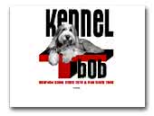 kennel Tbob - Bearded Collies 