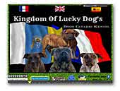 KIngdom of lucky dogs