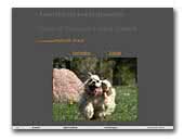 Kennel SMĖLINĖ SVAJA American Cocker Spaniels