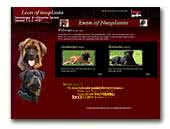 Leon of neoplanta