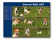 MAC ART Jack & Parson Russell Terrier