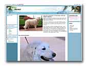 Meresz - Élevage amateur de Bergers Hongrois Kuvasz