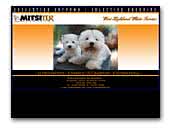 Mitsiter west highland white terrier