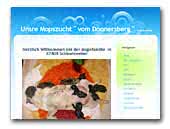 Mopszucht vom Donnersberg
