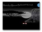 Martinkai Morcos  Bullmastiff Kennel