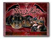 NollyZor Dobermanns