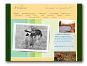 Irish Vizslas