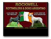 Rockwell Rottweilers & Dogo Argentino