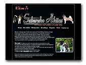 Saburuko Akitas