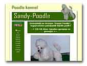 Sandy Poodle