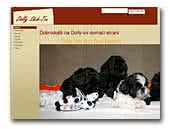 Dolly Shih-Tzu