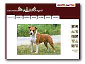 Taurunum Angels Kennel American Staffordshire Terrier