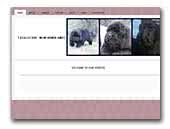 Ticklecove Newfoundlands