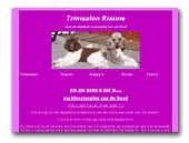 Trimsalon Rianne harlekin standard poodle and lhasa apso