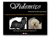 'Videmiro' Bichon Frise & Lhasa Apso & Maltese kennel