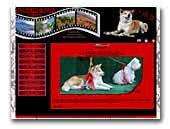 Akita inu kennel Hachimantai