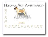 Amakita American Akitas