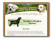 Labrador Retrievers Val di Sterza