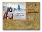 American Staffordshire Terriers Kennel Kom Blues