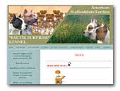 American Staffordshire Terrier Baltik Surprise