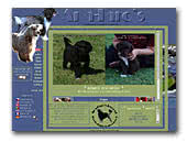 Ana-Faro's Kennel