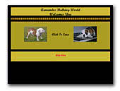 English Bulldogs Armandos