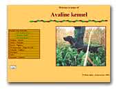 Kennel Avaline