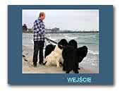 Baltic Storm Newfoundlands Kennel