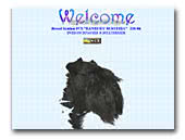 Miniature Schnauzer kennel Banbury-Boothia