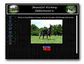 Dobermanns Kennel Baskerne

