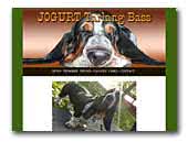 Jogurt Tarlang Bass Basset Hound